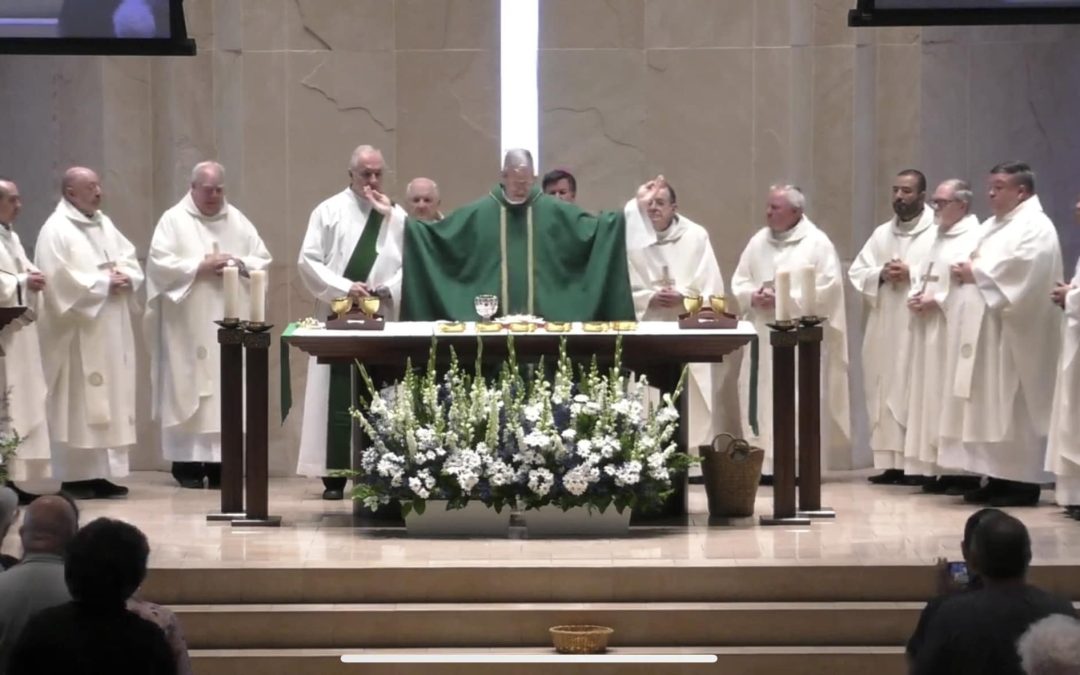 Oh, Happy Day: Newest Viatorian Priest is Ordained